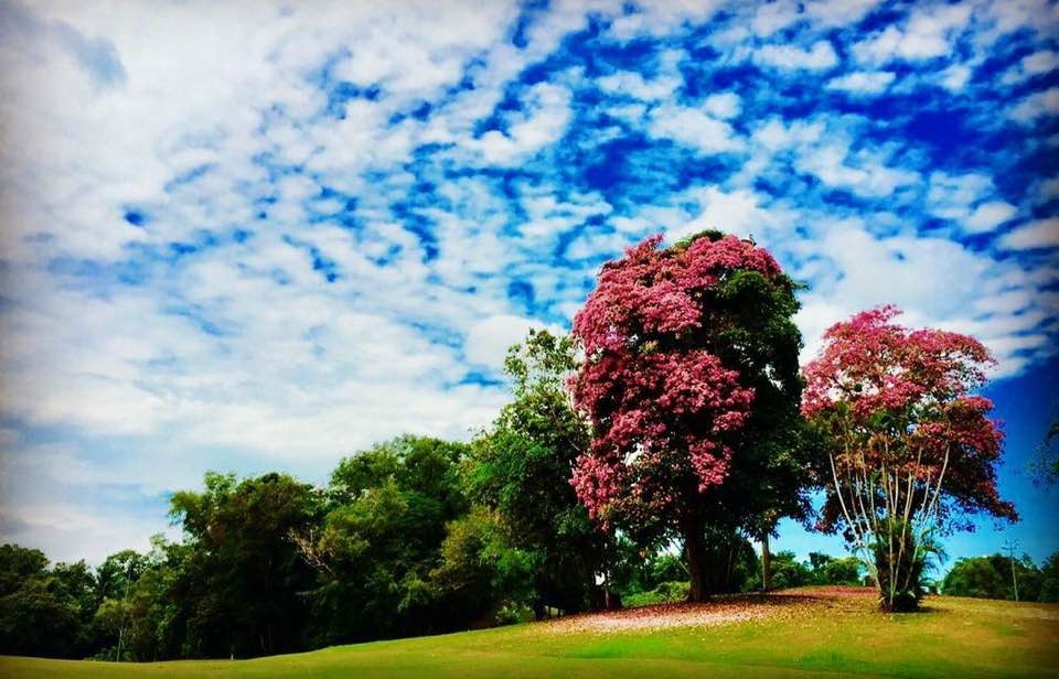 ★고품격-S골캉스★ 럭셔리 엠파이어 호텔 3박5일 54홀 [토출발] [BI]